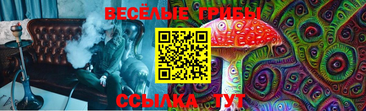 Псилоцибиновые грибы MAGIC MUSHROOMS Благовещенск