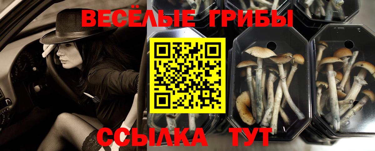 Благовещенск  Галлюциногенные грибы GOLDEN TEACHER  Псилоцибиновые грибы Magic Shrooms  Вход с VPN 