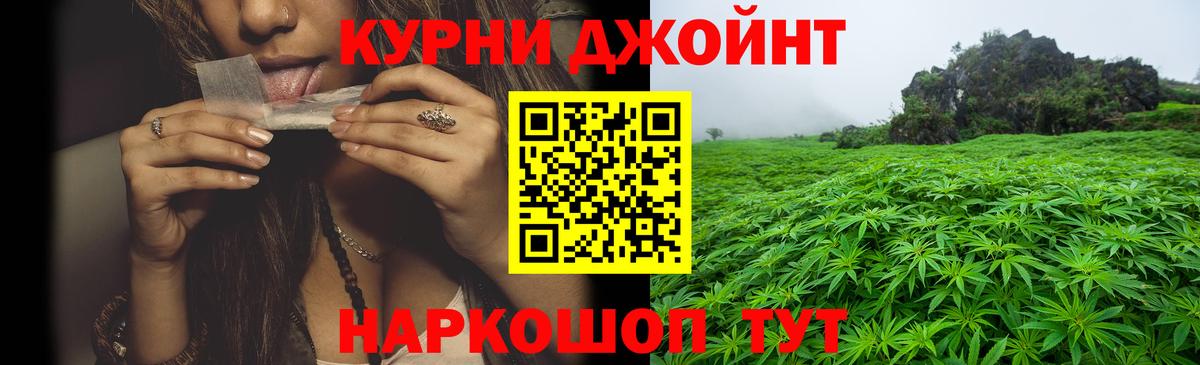 МАРИХУАНА сатива Благовещенск